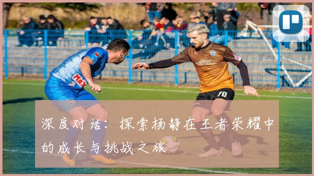 深度对话：探索杨静在王者荣耀中的成长与挑战之旅